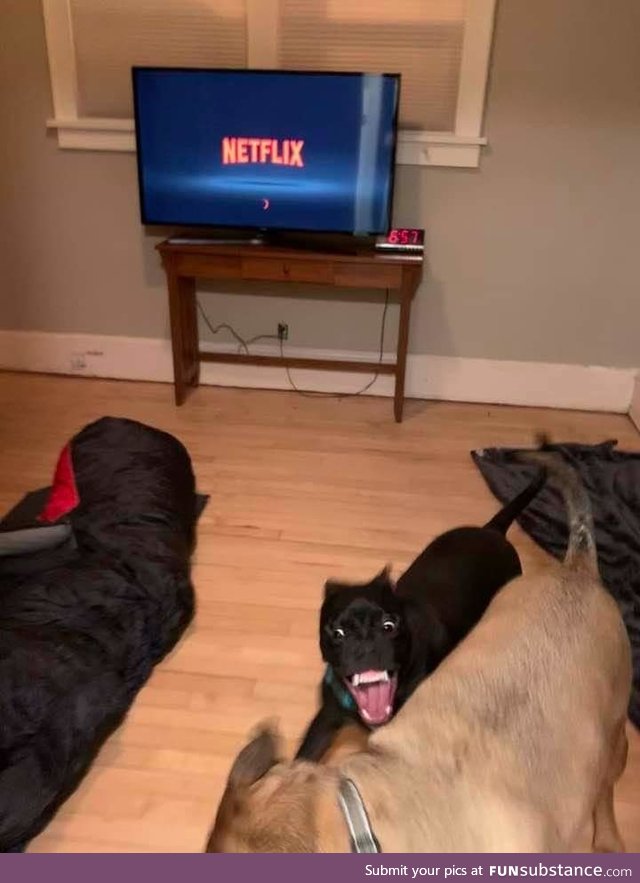 "Netflix and Chill"