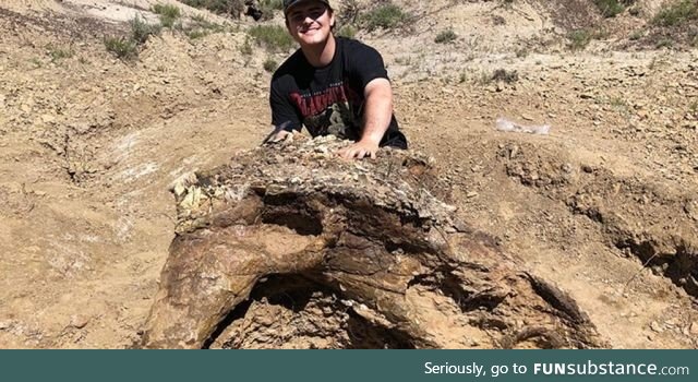 College student finds 65-million-year-old fossil of Triceratops skull in North Dakota