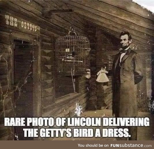 November 19, 1863. The iconic Getty's bird dress