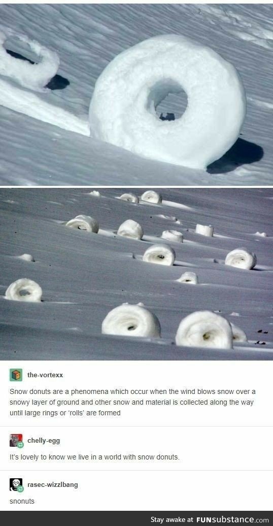 Snownuts