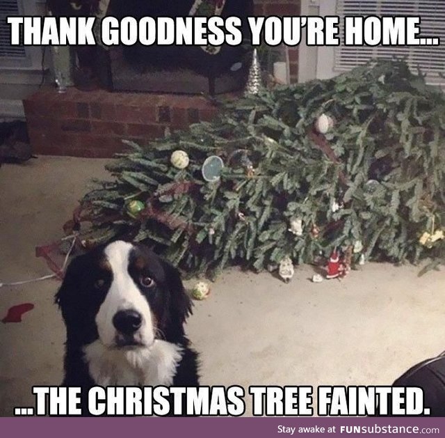 Uh oh, not the tree
