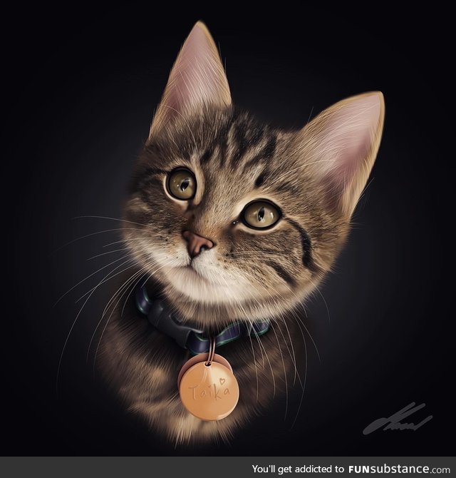 My pet portrait drawing, on iPad