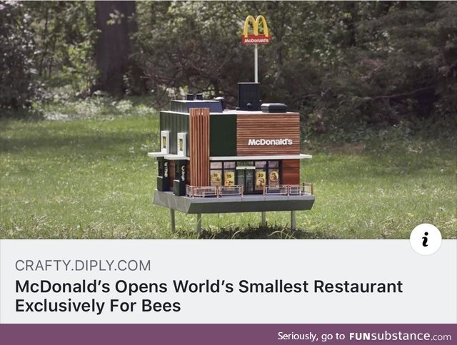 What is this? A restaurant for ants?