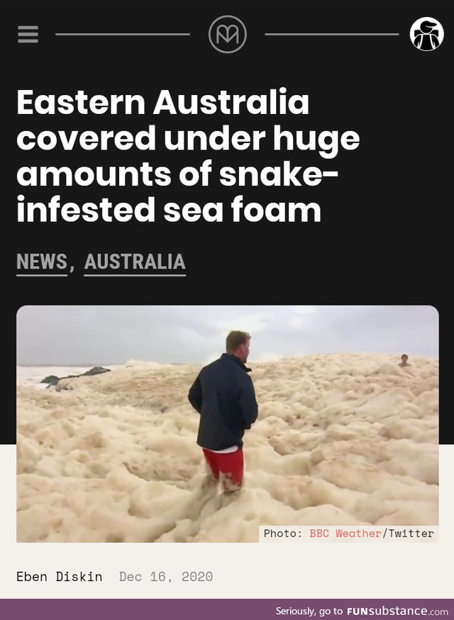 Who had "snake infested sea-foam" for December?