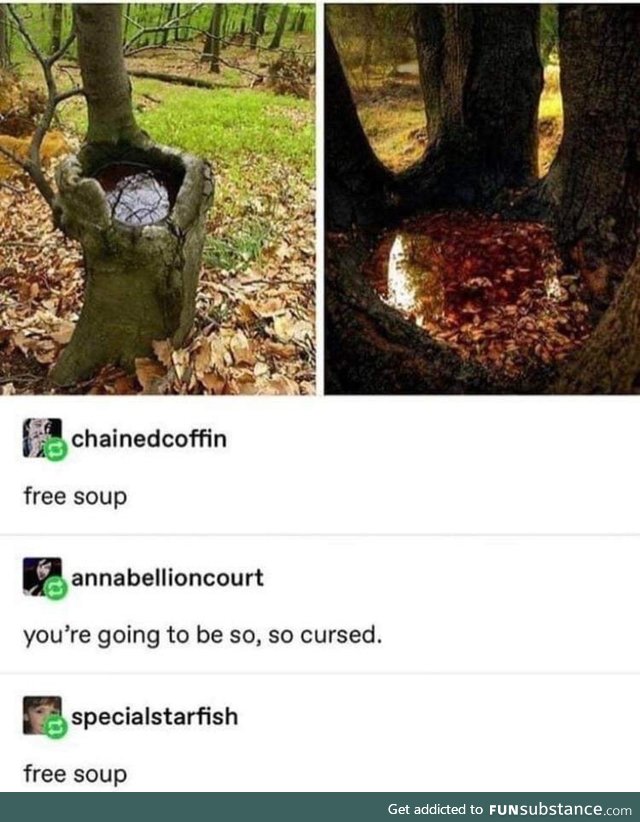 Free soup
