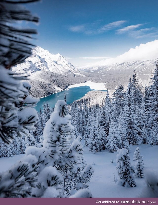 Peyto lake, banff national park, alberta, canada