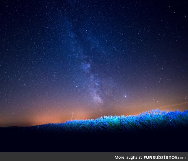 The Milky Way above a field of Lavender