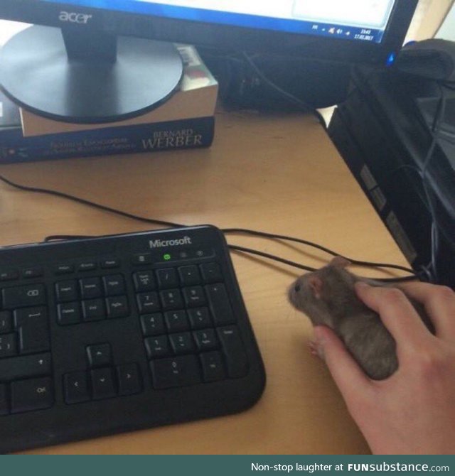 Just found this mouse seems to be in good shape