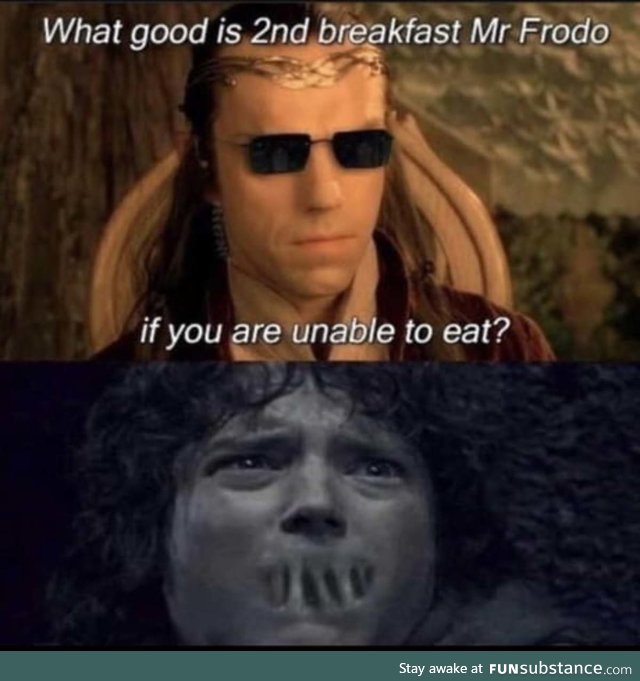 Why, Mr. Frodo, why? Why get up? Why keep fighting?