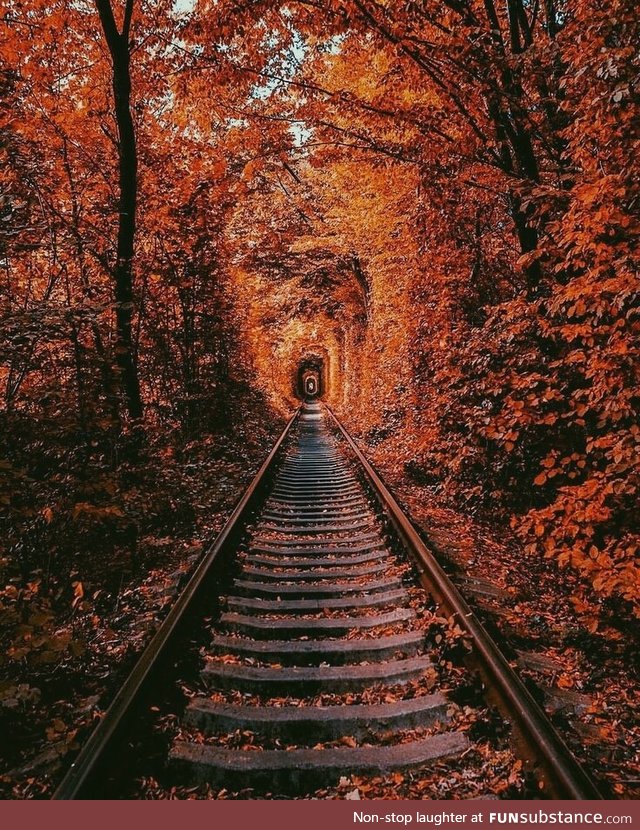 Railroad in the fall