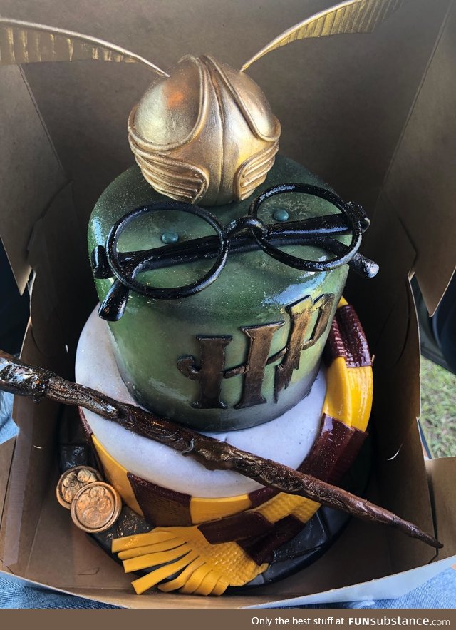Coworker paid someone $80 to make a Harry Potter cake and they did a ridiculously good