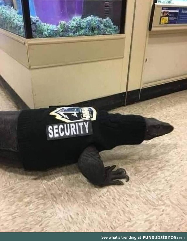 Security lizard