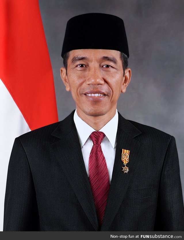 President of Indonesia looks like the Asian Obama