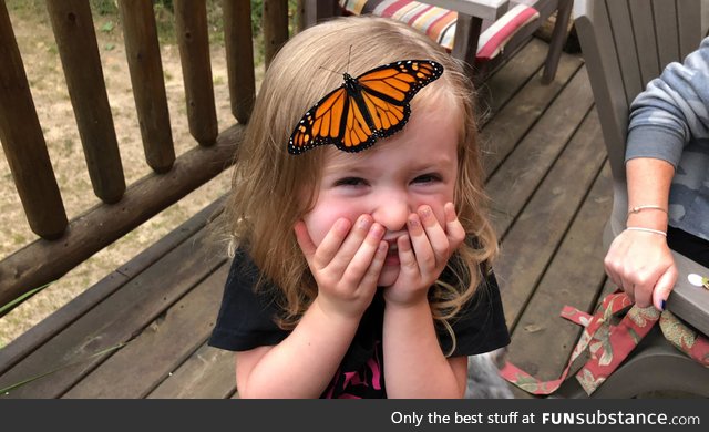 Hanging out on the deck when a monarch landed on my daughters head