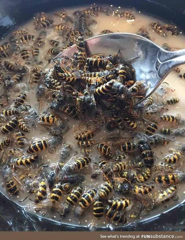 One spoon of wasps