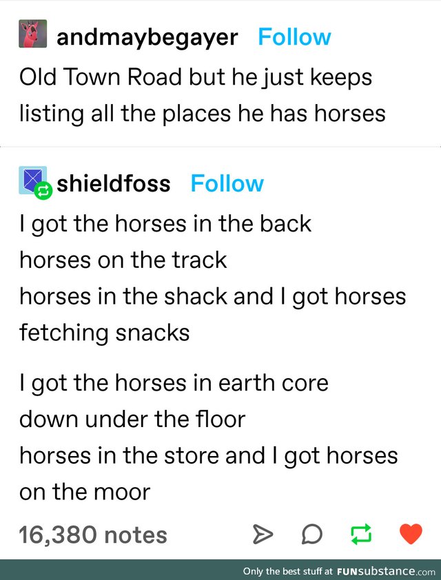 Horsies every which place