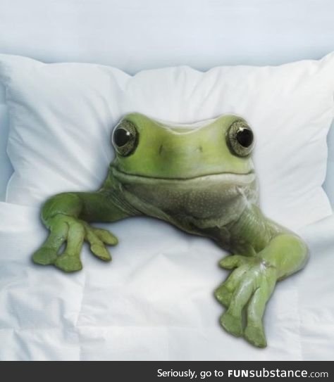 Froggo Fun #348 - 5 Days into Resolutions and Chill and He Gives You This Look