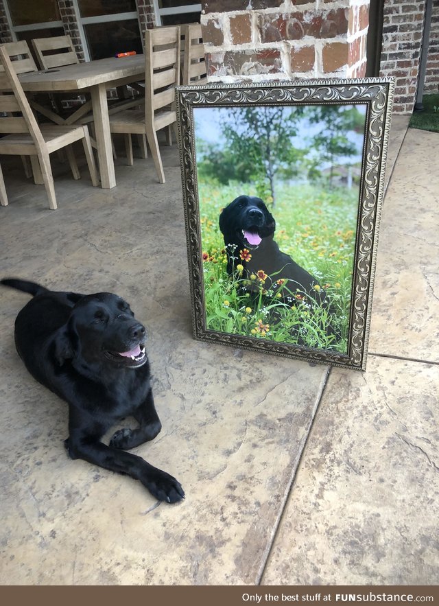 My baby girl got her portrait back today. Needless to say she’s happy