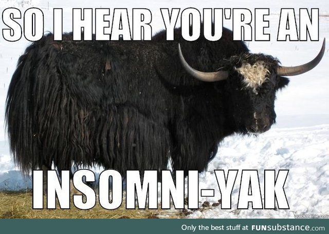 Insomni-yak