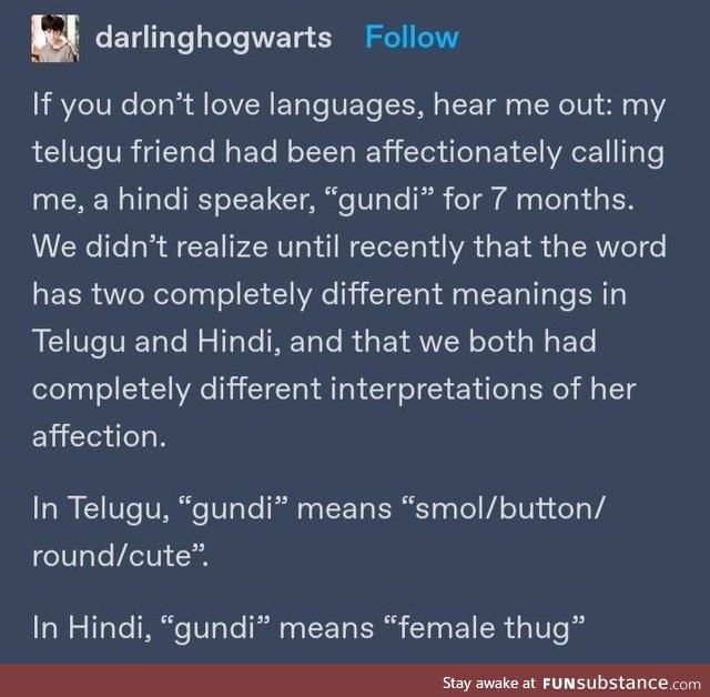 Gundi is relative