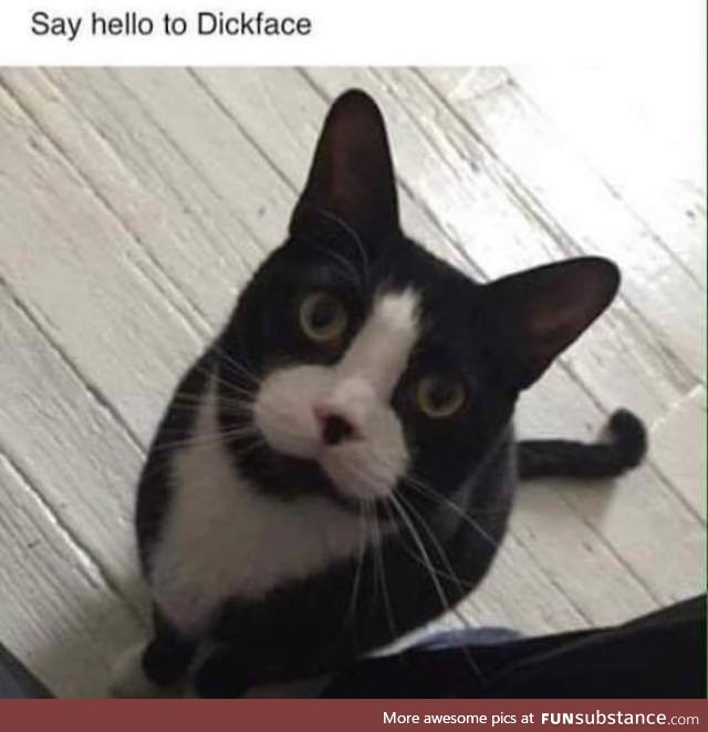 What’s your cat called?