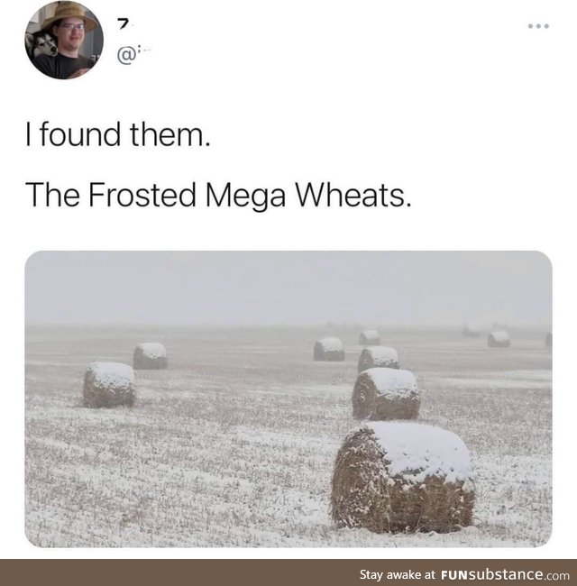 Frosted Mega-Wheats