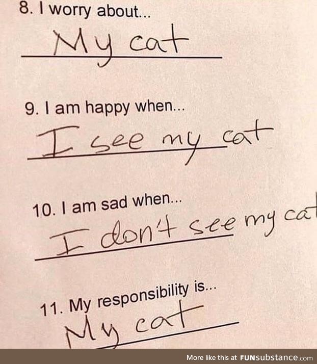 Gato is life