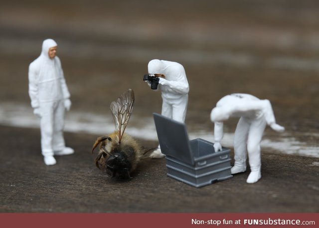 Bee down.