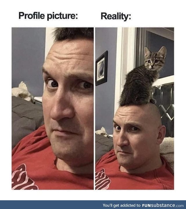 Hey guys, check out my new haircat