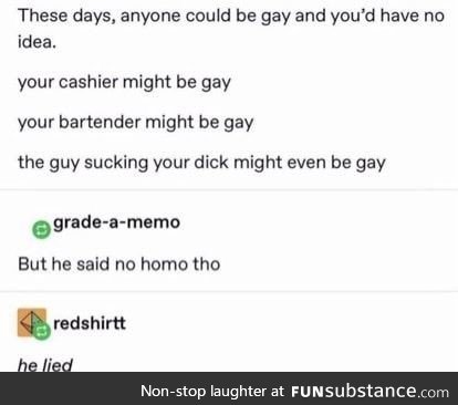 No homo means no homo
