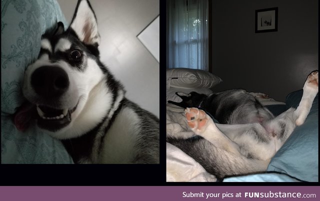 What my husband wakes up to vs. What I wake up to