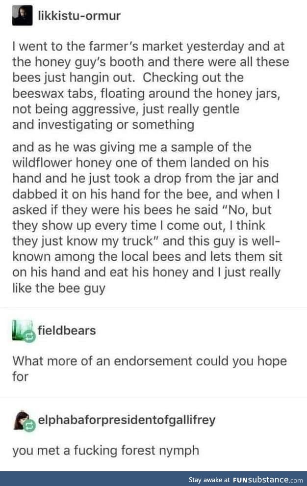 Feed the bees