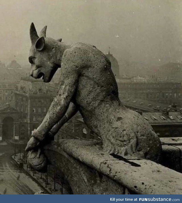 The Gargoyle of Notre Dame overlooking Paris, circus 1910