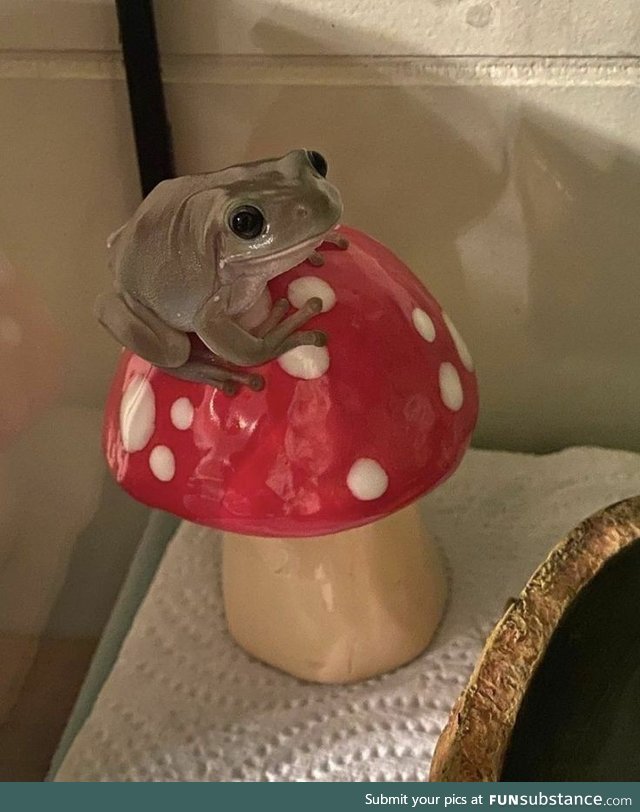 Has he toad you about his insurance policies?