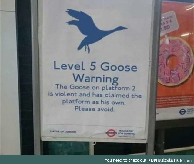 Goose Warning Level 5