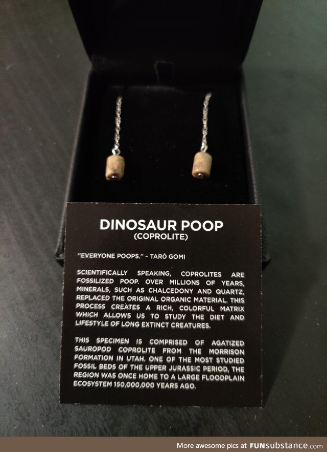 I told my husband I just wanted some "shitty earrings" for Christmas. He delivered