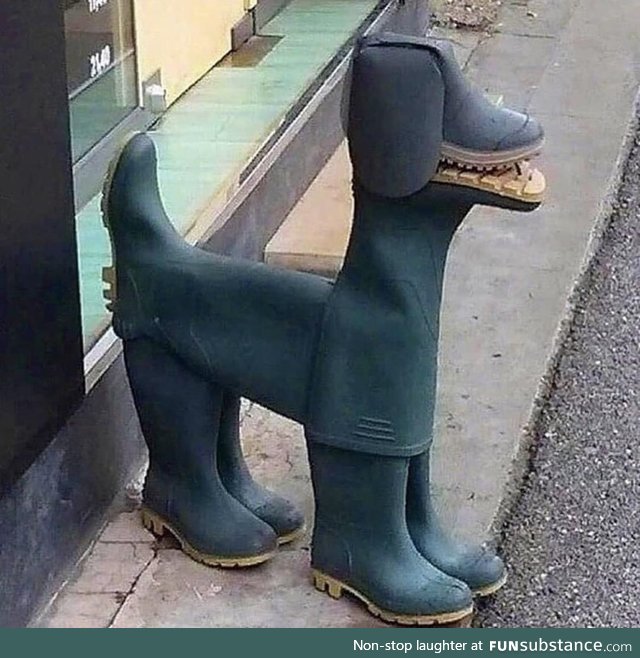 Shoe dog