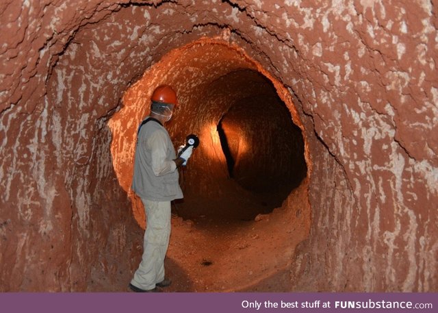 A tunnel dug by a giant sloth, circa Brazil