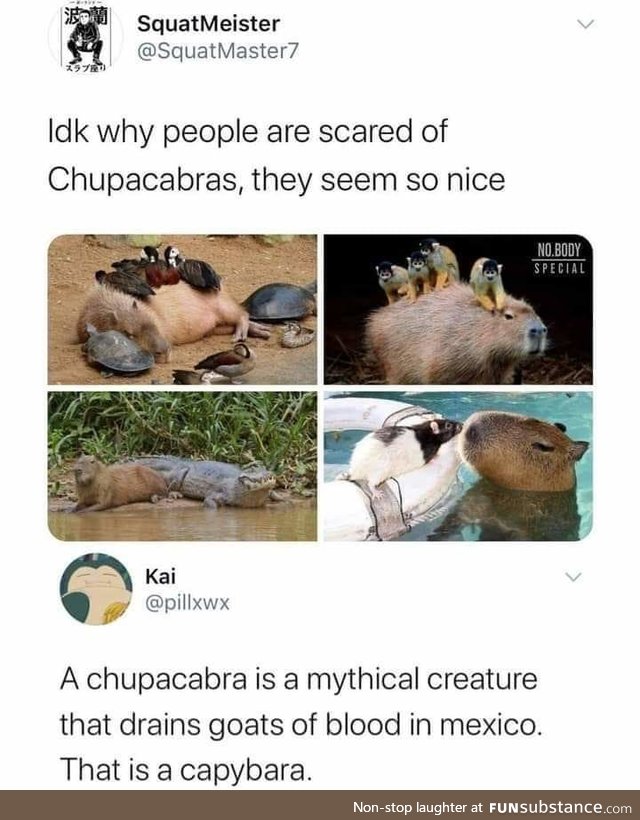 Cute Chupacabra