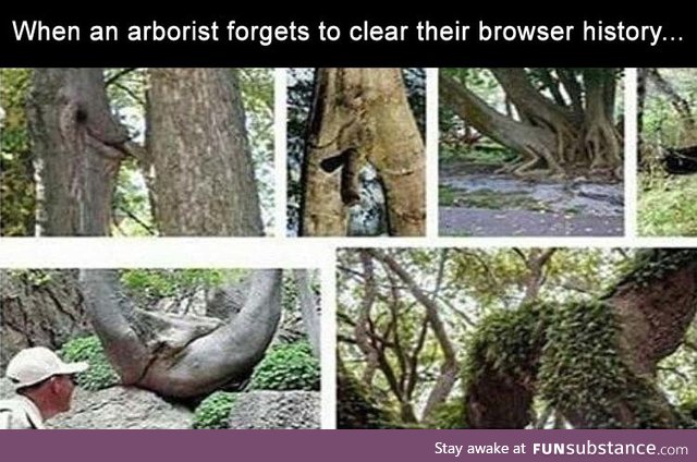 Arborist Search History