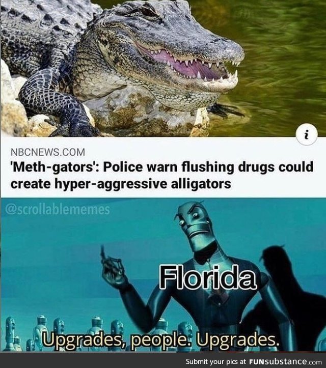 Meth-gators. Best movie title ever