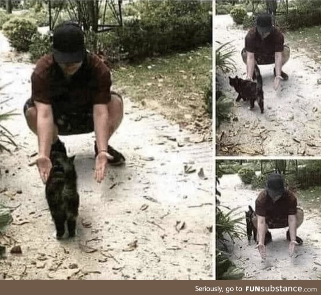 The emotional reaction of a cat after seeing its owner for the first time in 6 months