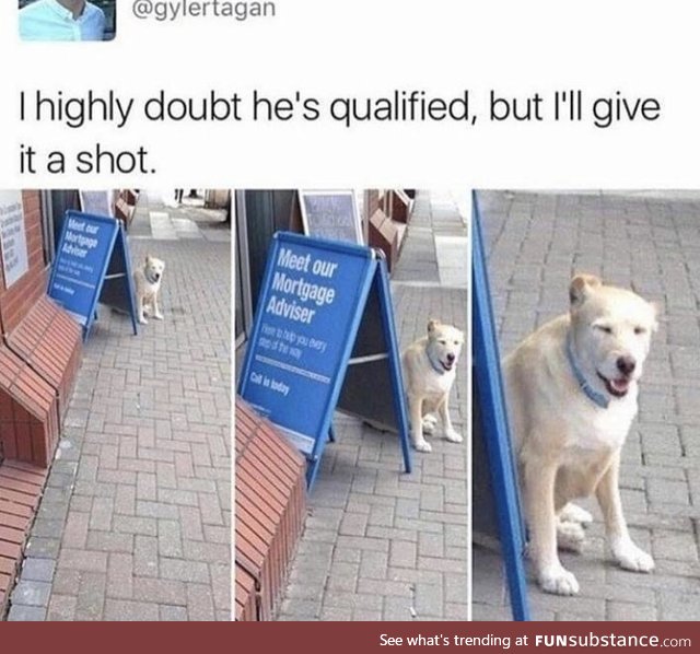 He’s definitely qualified