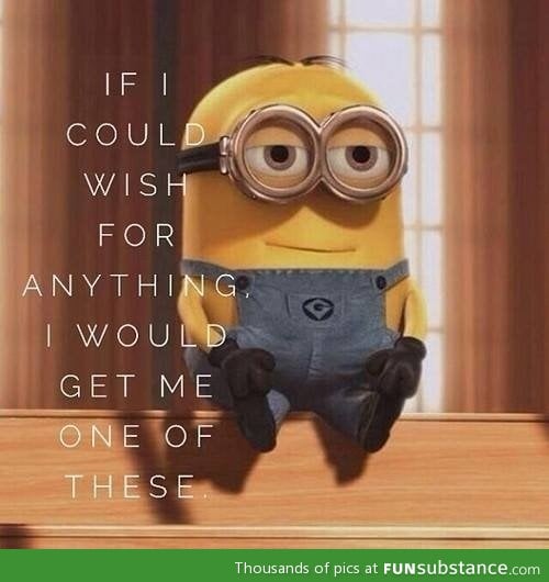 Who wouldn't want a minion?