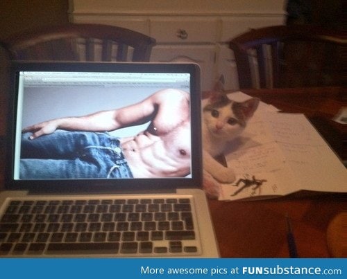 That cat has...nice abs.