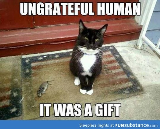 Ungrateful human