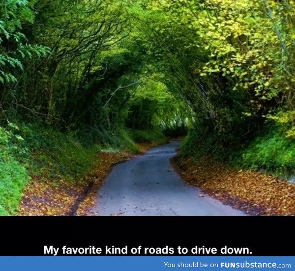 Great road to drive down