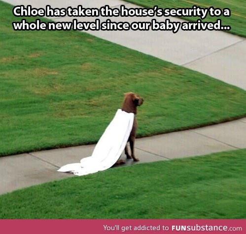 Security taken to a whole new level