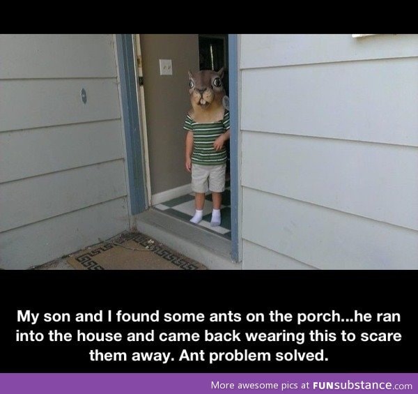 Ant problem solved