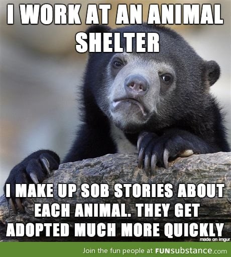 Working at a shelter in a large city